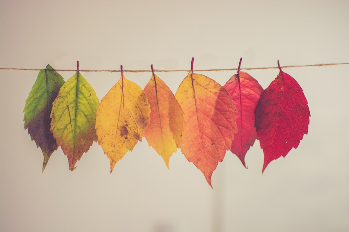 Learning Philosophies that Transform Workplaces